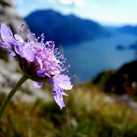 Villa Lakecomo - Ritrovo Menaggio